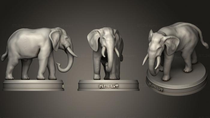 Статуэтки животных (Слон, STKJ_0934) 3D модель для ЧПУ станка